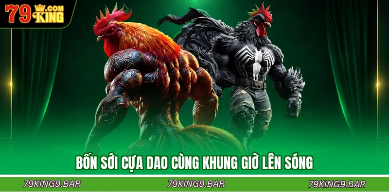 Bốn sới cựa dao cùng khung giờ lên sóng