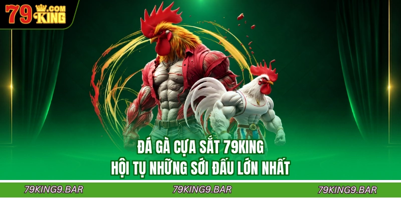 Đá Gà Cựa Sắt 79KING - Hội Tụ Những Sới Đấu Lớn Nhất