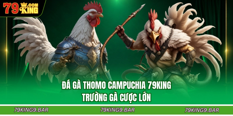 Đá Gà Thomo Campuchia 79KING - Trường Gà Cược Lớn