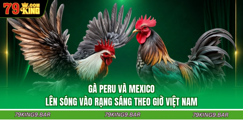 Gà Peru và Mexico lên sóng vào rạng sáng theo giờ Việt Nam